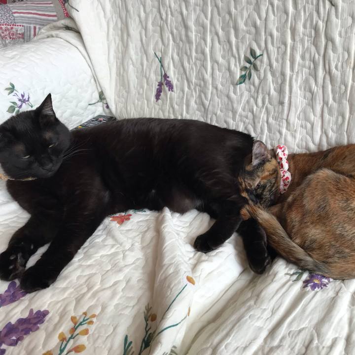 7a7c1fdf ed92 481d afe7 ce72c62ee3cf 1622500766831