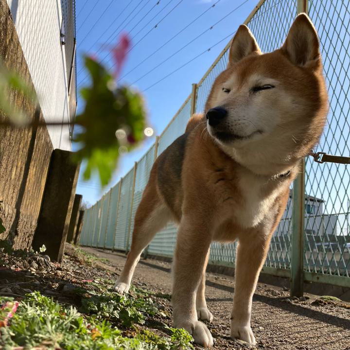 7a7c2214 db0b 4816 acd2 8323480454ac 1708733041528