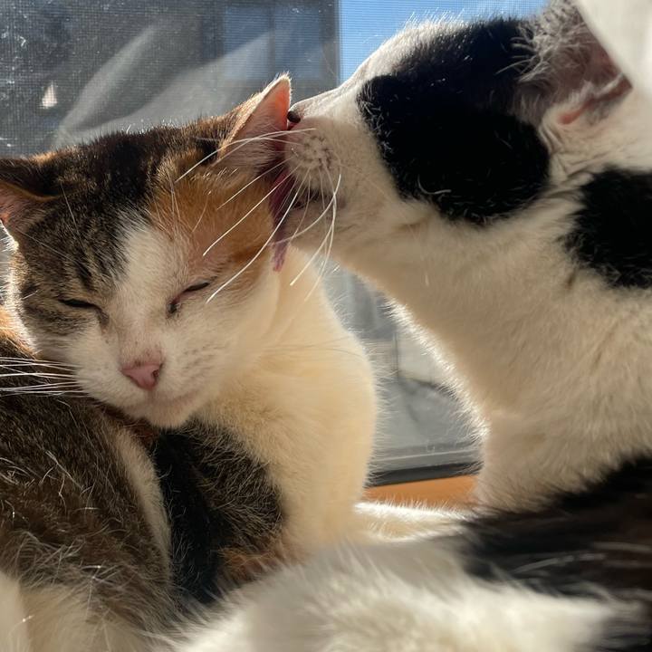 7a7c2c10 d3f0 49c4 9cc8 9c62eb598ad2 1770220991596