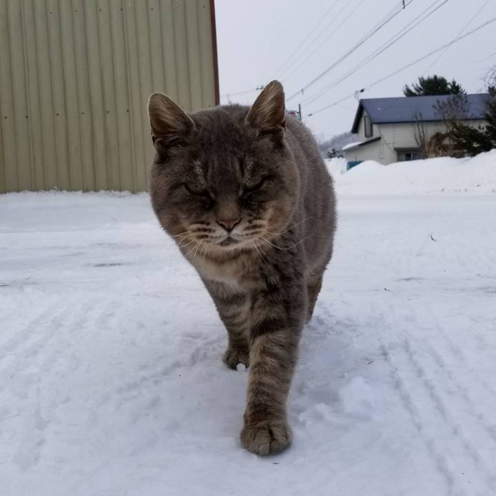 7a7c8db9 f2e7 47b2 90fe 0e6412b632c8 1549431418977