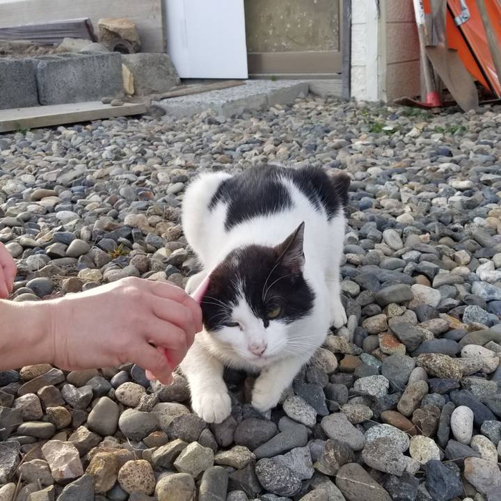 7a7ca71a 1bce 4e2c 9d52 cdde649247c7 1588429686605