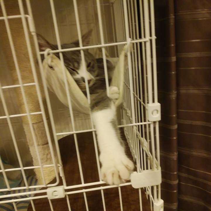 7a7cba69 8899 4532 a3bb af1199cc30f7 1590074698081