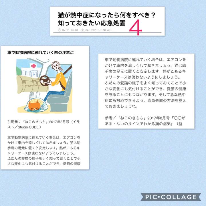 7a7cd94f 2ffa 48cf 8dce 3a9425f626f8 1531854778133