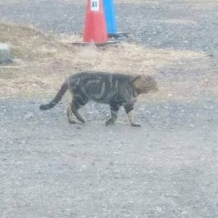 7a7cddb8 dfa1 4c7e a08c aabdac0b629f 1642398628423