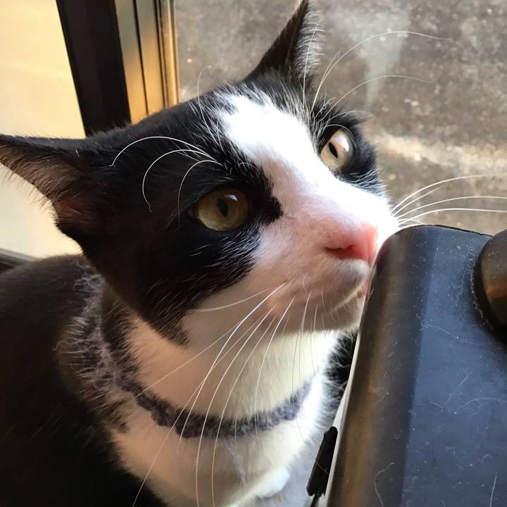 7a7d0c8d 6b98 4bd1 97b6 07599129b198 1667561022008