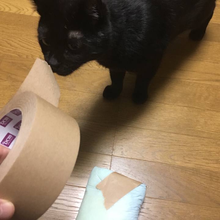 7a7d1038 49b4 45cd a39a 6cbae8add492 1532430715671