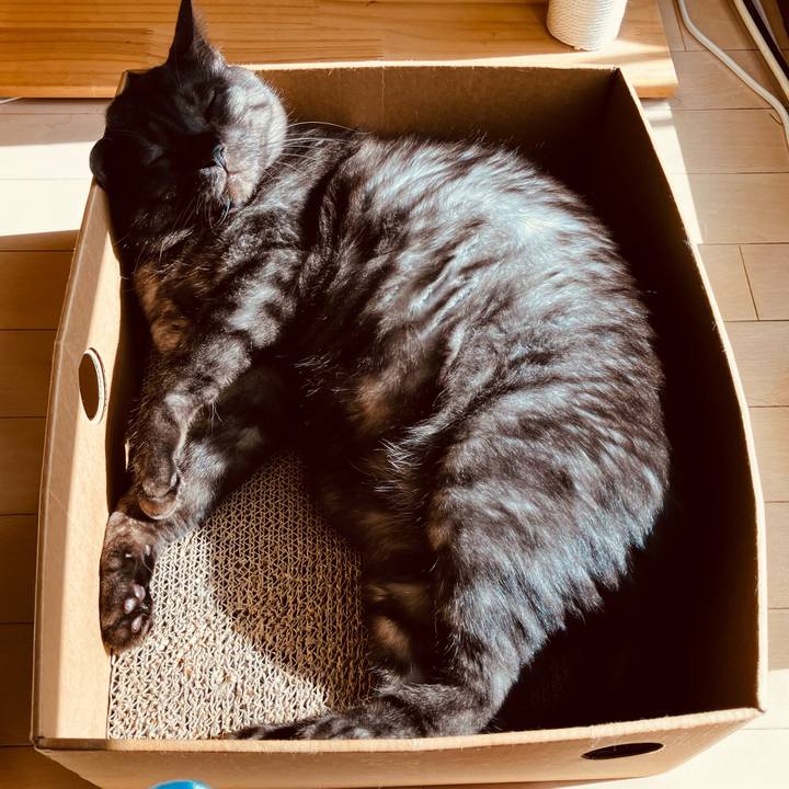 7a7d294e 59a4 4e1b afd2 61604c7828a9 1738118573998