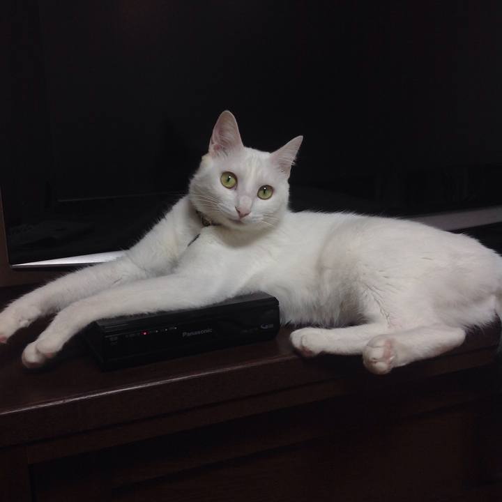 7a7daf90 09ee 44f8 b151 a9a3613cf3d0 1640214376155