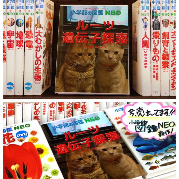 7a7dbfbc 4696 41b4 b8cd b66c27e5caf9 1578108308975