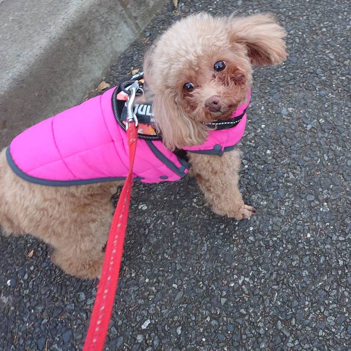 7a7e20ed 3d82 4ecd bb57 78602bbe7d54 1735460815616