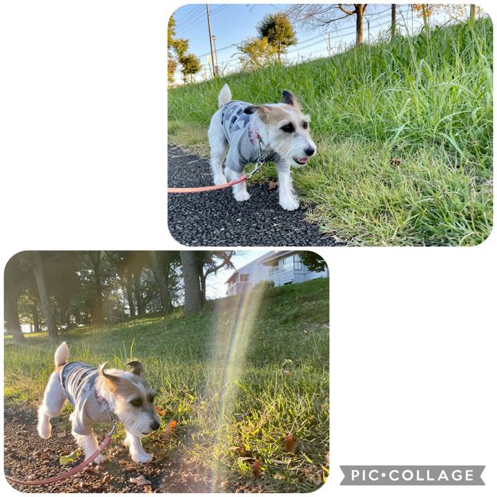 7a7e3702 9abd 4261 8192 2c76507be9c4 1666772312068