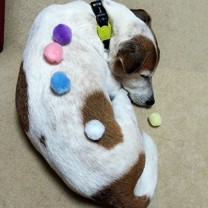 7a7e6a69 61c4 4b2b 9e68 2d7bcf086c97 1531144686518