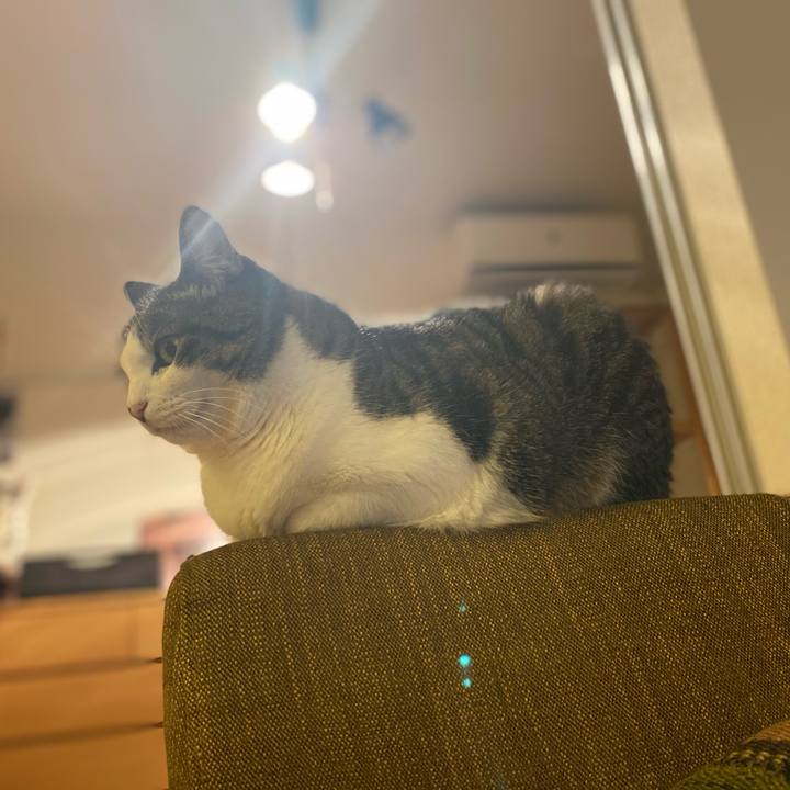 7a7e6a8c 0cc5 40a4 9ad6 8771f094a4ef 1606550449392