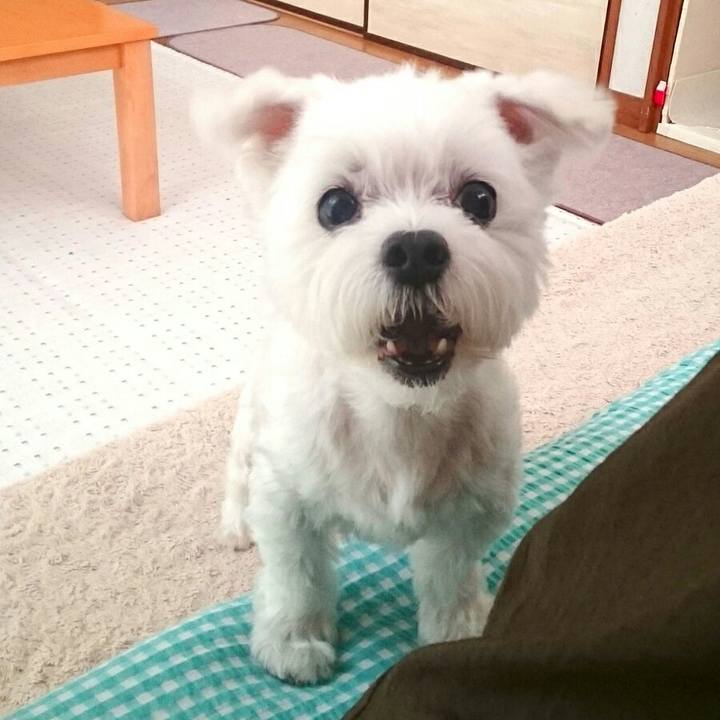 7a7e9a35 56ae 4d64 8930 0110dd793fcd 1513130389999