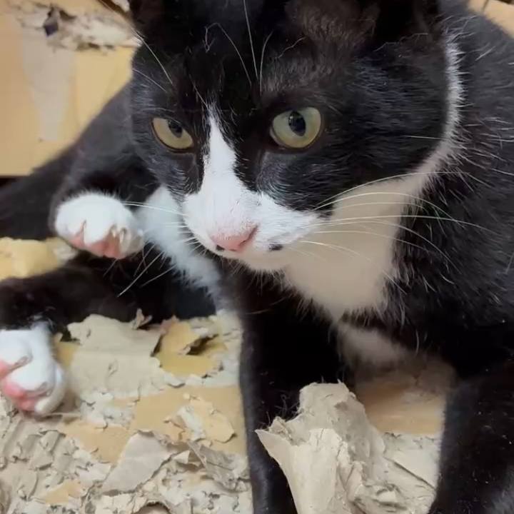 7a7ebeb7 6f34 4eb6 a9c1 0d338afaa96c 1751425863753