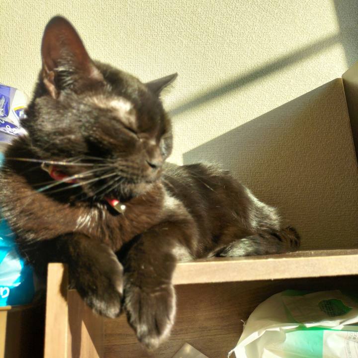 7a7ed01e d75b 4210 bf8b 4020a075d77e 1672531022932