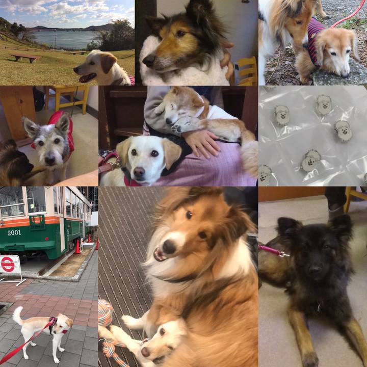 7a7ed02f 1483 48b6 82f3 8609e9feb6cb 1578976998553