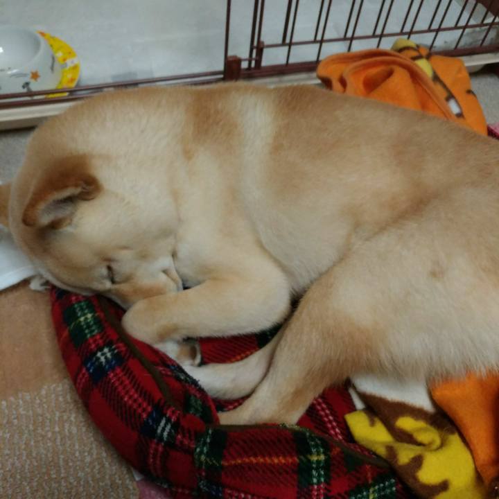 7a7ee119 8c5b 4087 9c51 91d3647e8433 1517658936065