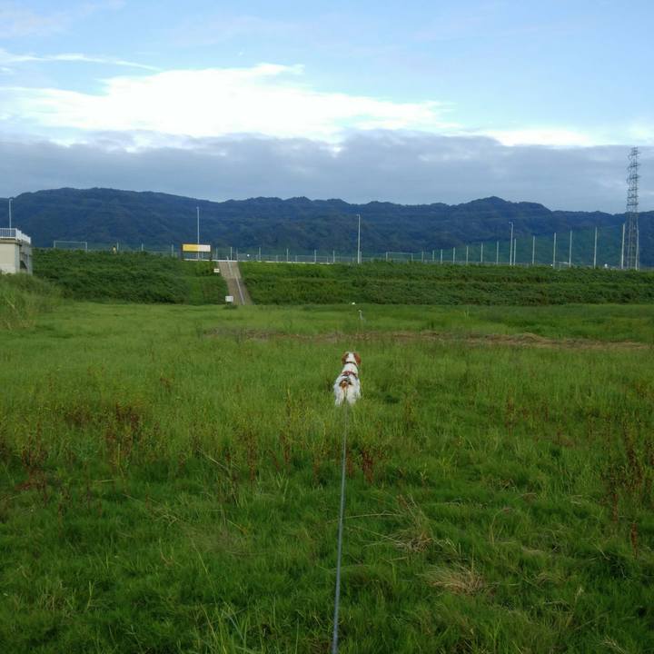 7a7efc0b f841 4e2e 829f 7fd8139f8c05 1536409390066