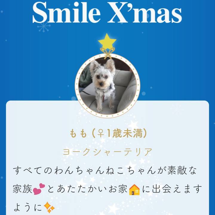 7a7f0403 7423 466a 8853 830d0d1a9da3 1544416409538