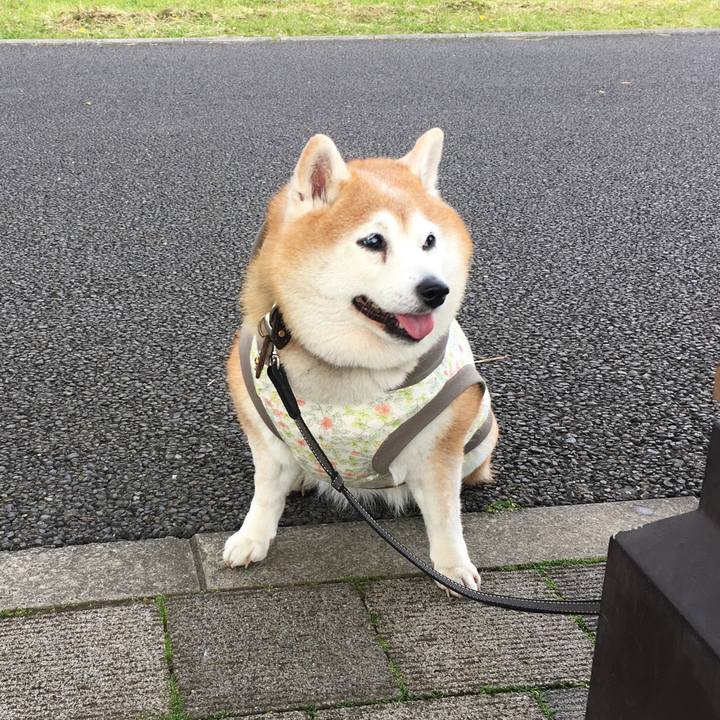 7a7f3040 6d98 4553 9b5a 20718d969cd7 1587720070935