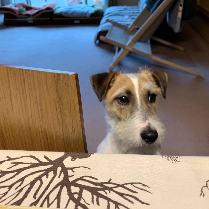 7a7f412a 2b91 466b ae5c 7ddaa04e75e7 1583570028801