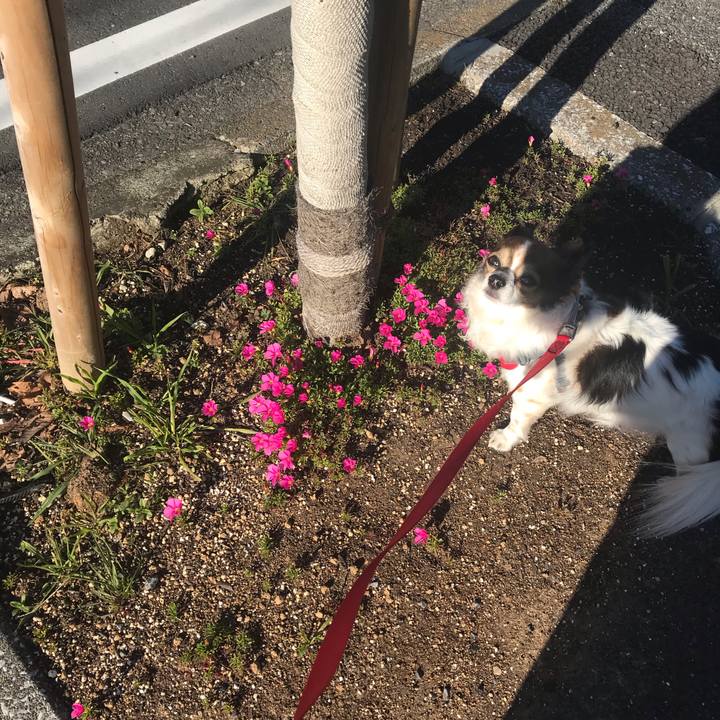 7a7f4fff 5033 41cd 9a3f 17b7f96b1658 1580543054877