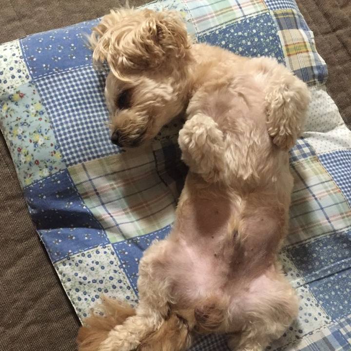 7a7f7164 97c3 446a 866c a4bf2a992334 1566178530601