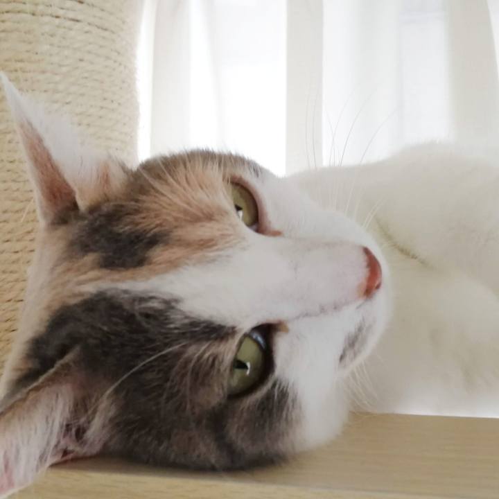 7a7f9f36 62ab 4a47 902b e41749af2765 1593489649364