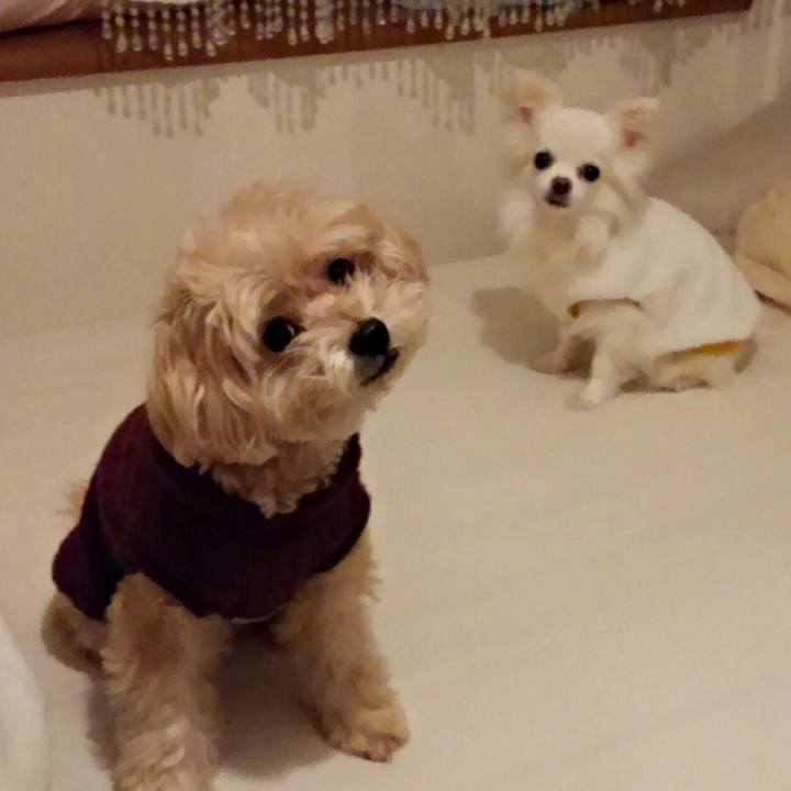 7a7fa967 4582 4a91 ac15 9e36d7593a63 1509364978465