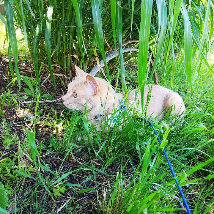 7a7fb179 395e 4f6a 8772 dc4b8e28180a 1622946250820