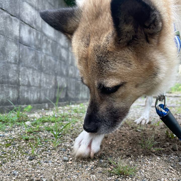 7a7fd69b 46d2 4a6d bdf7 8344632398da 1661520933704