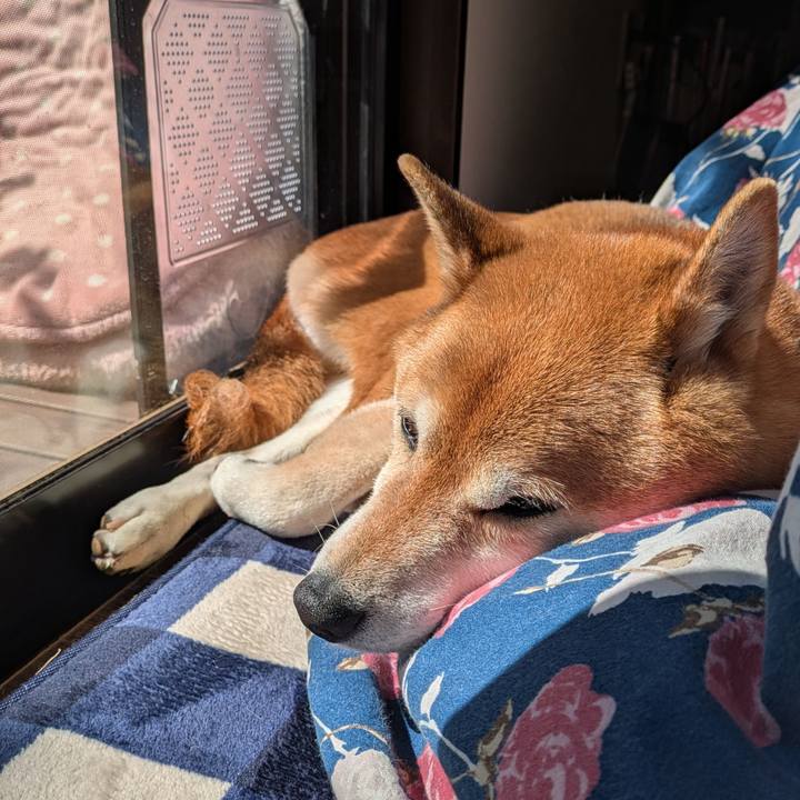 7a7ff515 366f 411f b709 5646dd9fcb1d 1741619012834