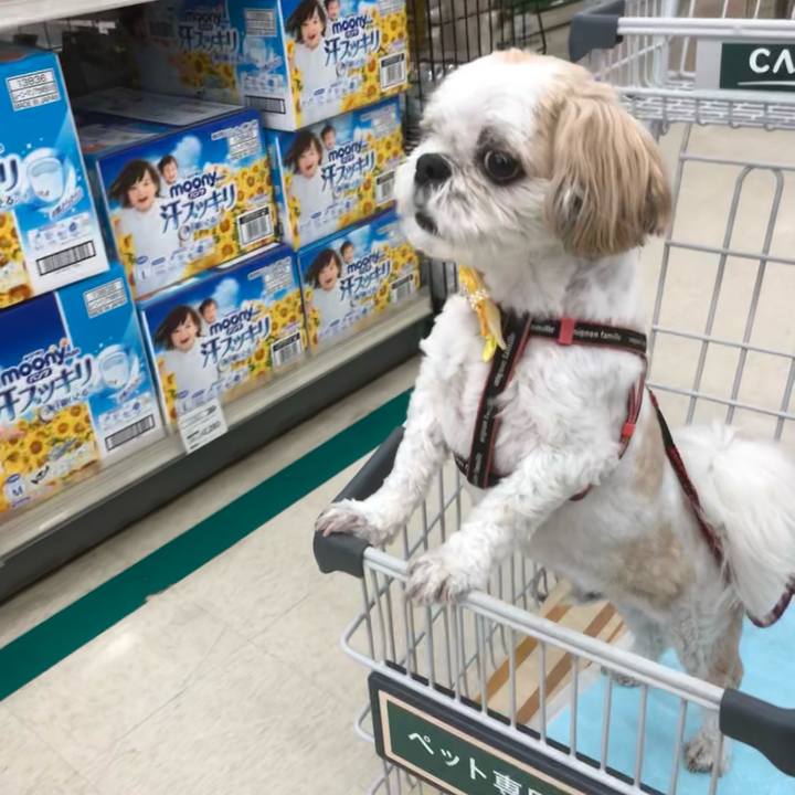 7a801234 d2ef 473a 9d10 ba4c5fd9ae66 1624052974518