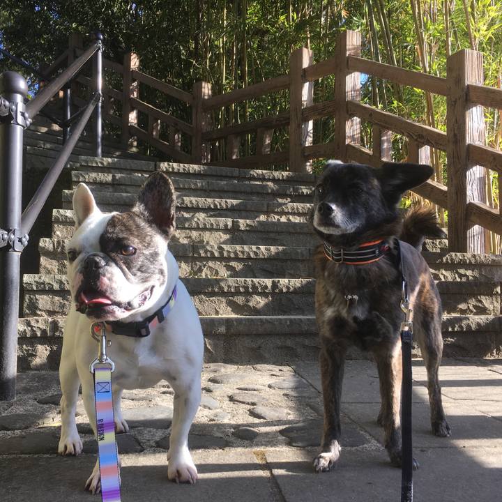 7a804c9f 72fe 4055 859b a319f9820913 1548069126927