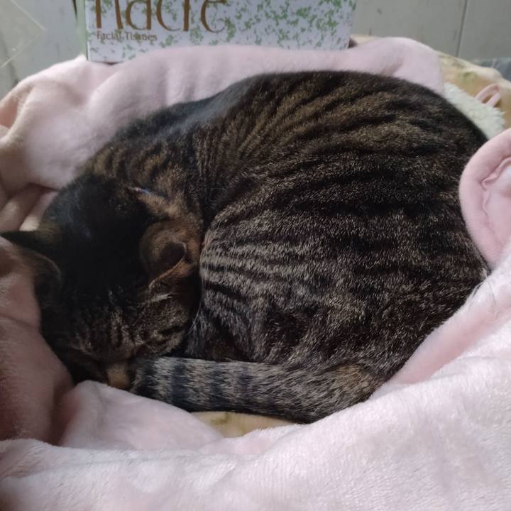 7a805484 3ae9 4fb7 a833 3278713b30d4 1676272989157