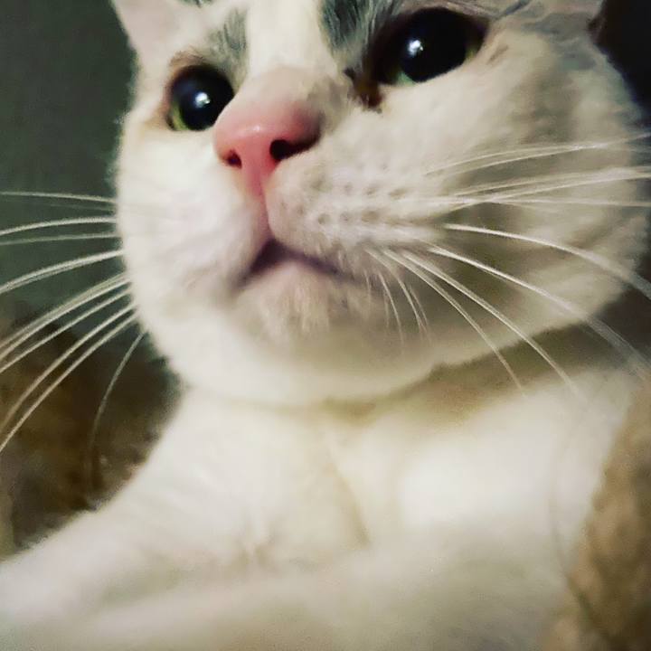 7a80756e 1e61 4ba8 845d d2570db8f589 1578075229420