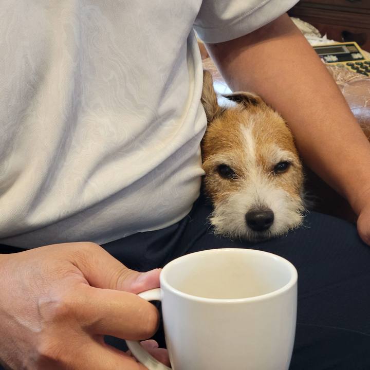 7a808156 dc69 4e17 8c81 32ceb27de1a4 1723783103888