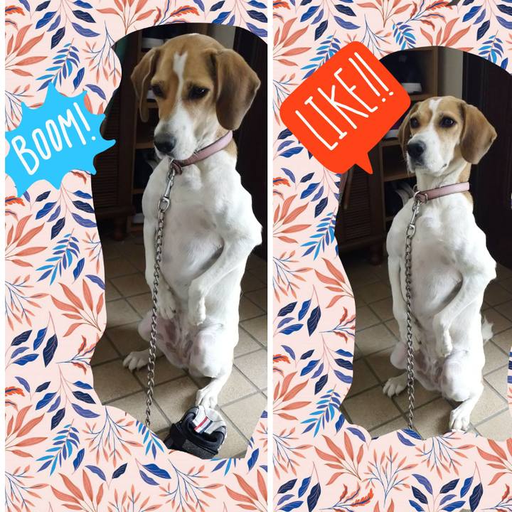 7a808d45 11c6 48f7 a82a 0c3422a92a90 1601264091989