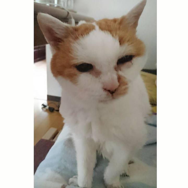 7a80ae28 6c63 4314 8cb1 818b84300a24 1600725245875