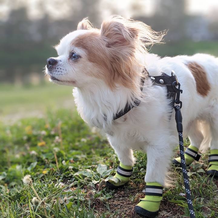 7a80c515 95ee 4002 8455 0ba2506fc77e 1685246652489