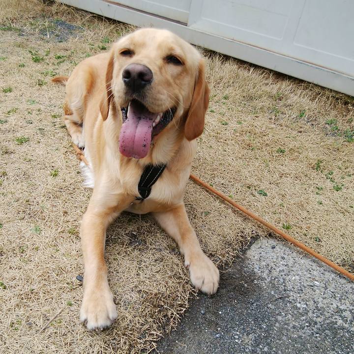 7a810752 1a3d 455d b48e 1a861e03b62b 1520663270592