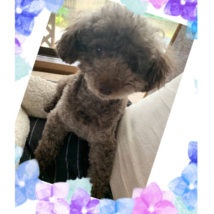 7a815db9 56e2 41e5 8cf4 5ae33b8e80b6 1592383328087