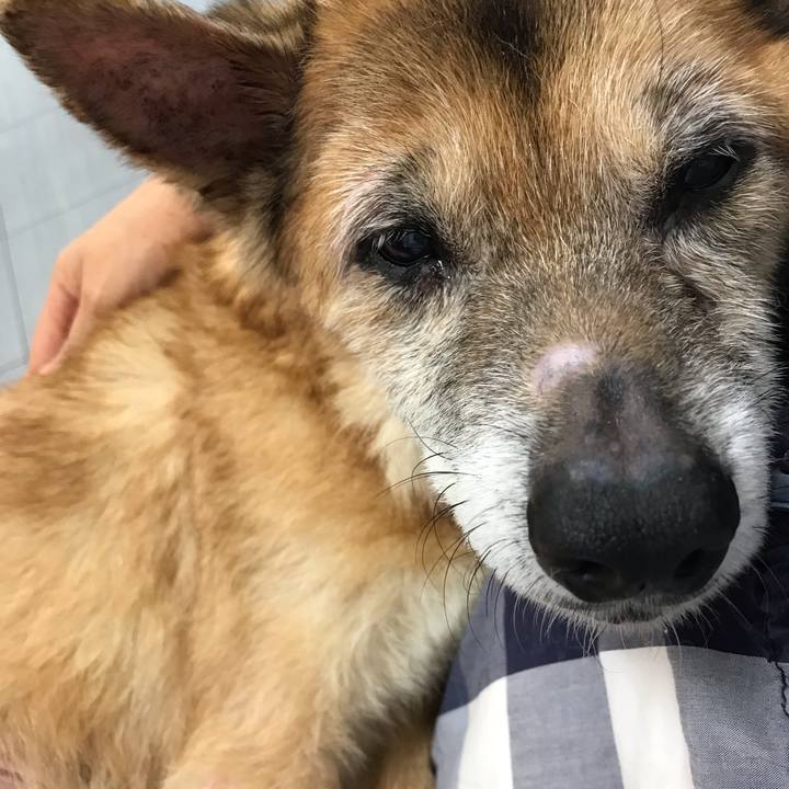 7a81618c 846b 43bc b7e3 58372d637f9b 1568107660659