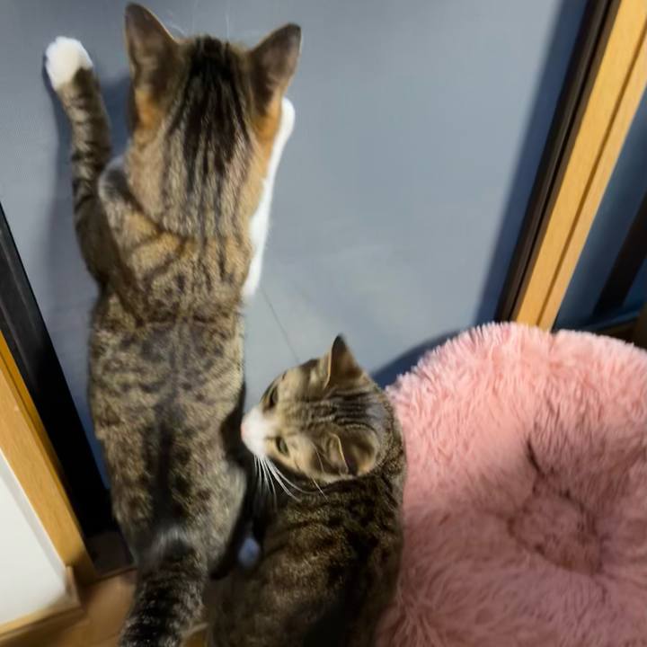 7a818047 d719 4ceb a049 3f5f8d2d4d4a 1710733464591