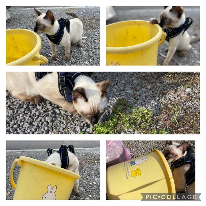 7a81b45b 3fdf 41e0 b6cd 4c10bcd4ce03 1696759480701