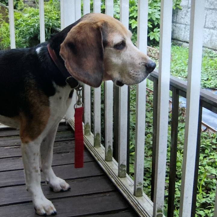 7a81e603 9a8f 49b2 afe3 d9f4ced134c0 1760140841658