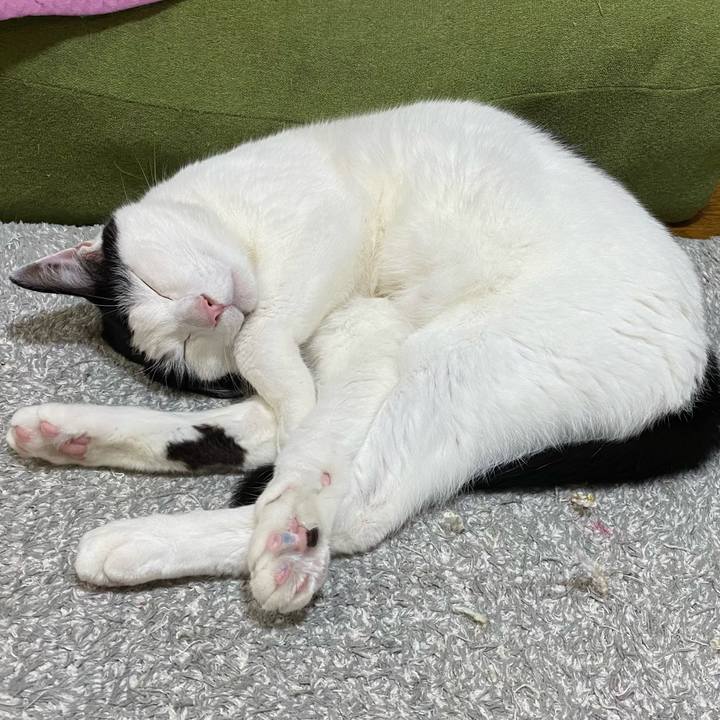 7a82012d c5a3 4cd6 ab8b 607661c8fdf1 1649937396454