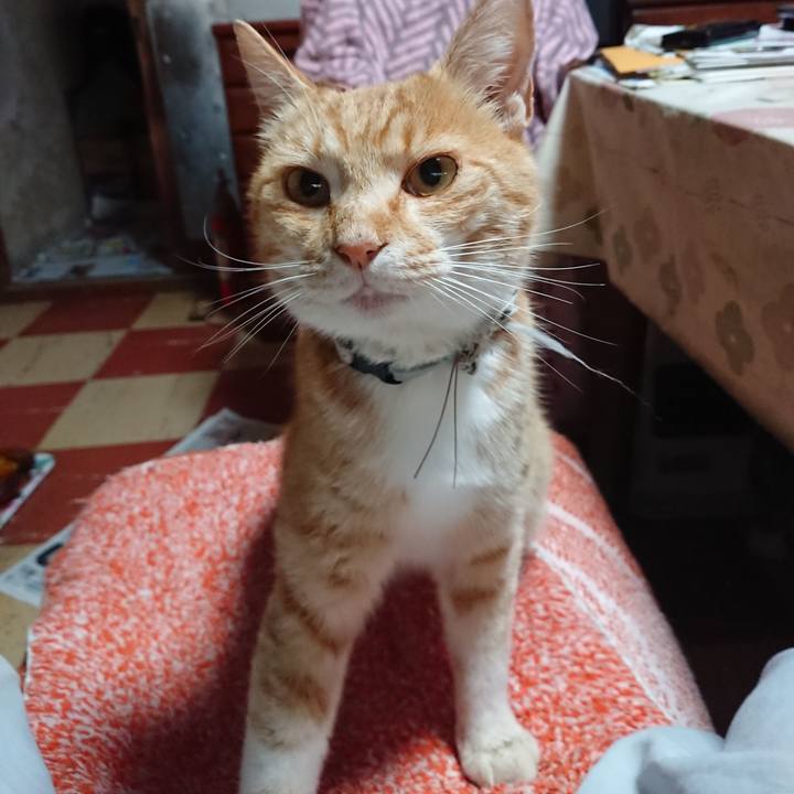 7a820b0c bbd8 47f4 bfef f8ce36f7e023 1591215160531