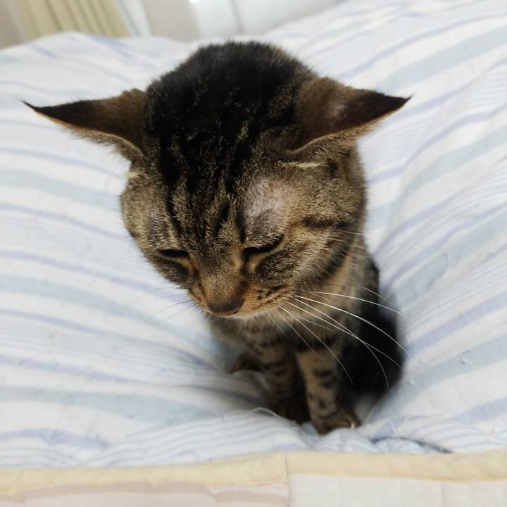 7a8255cf 3531 4edf 906c f4a9bba4bda4 1586467613005